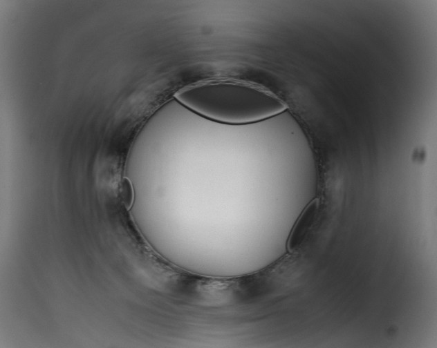 X0000115640129200911241720