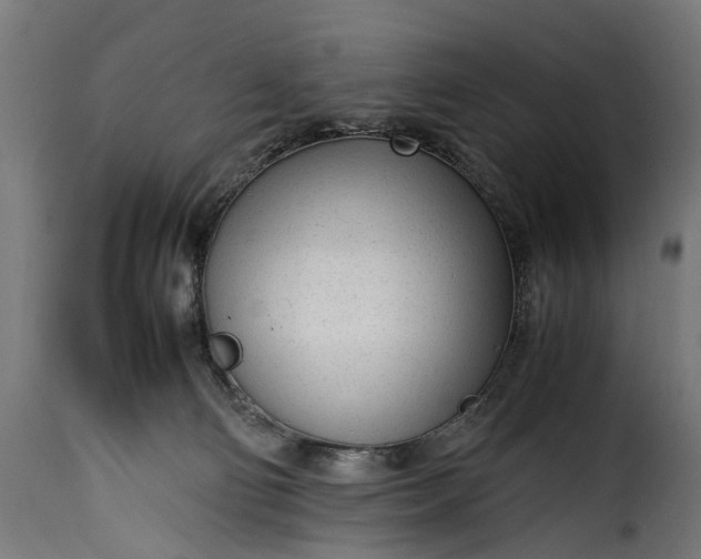 X0000115640130200911241720