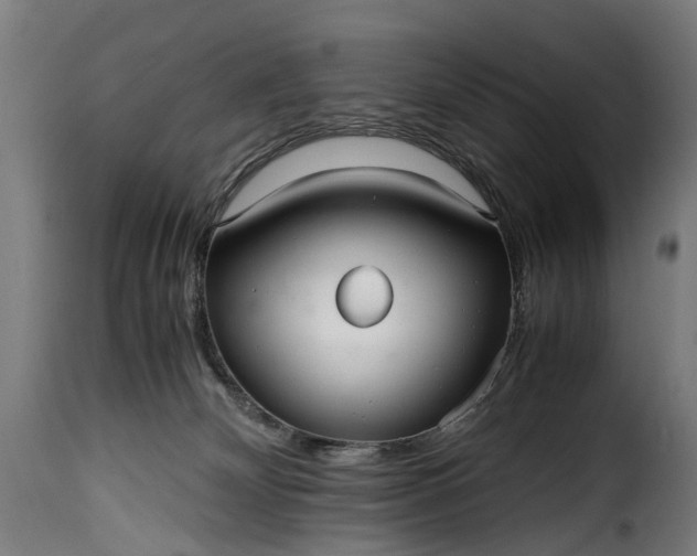 X0000115640132200911241720