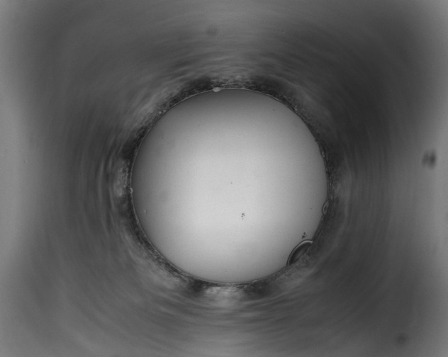 X0000115640133200911241720