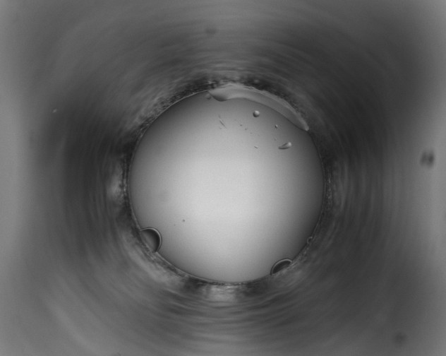 X0000115640134200911241720