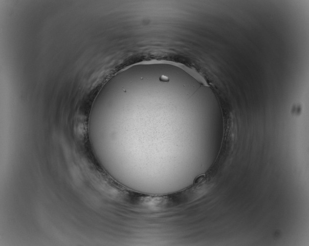 X0000115640135200911241720