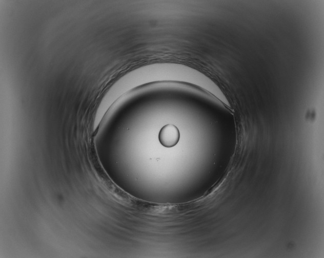 X0000115640136200911241720