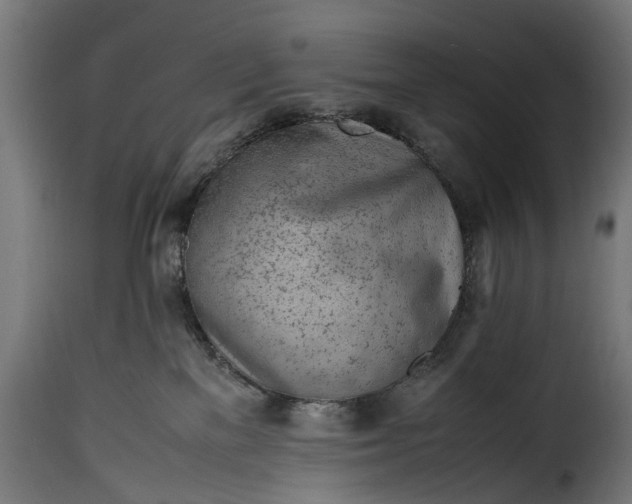 X0000115640137200911241720