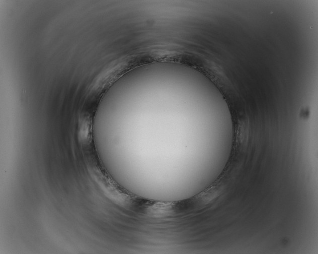 X0000115640138200911241720