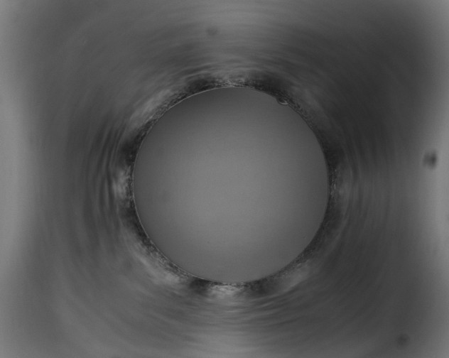 X0000115640139200911241720