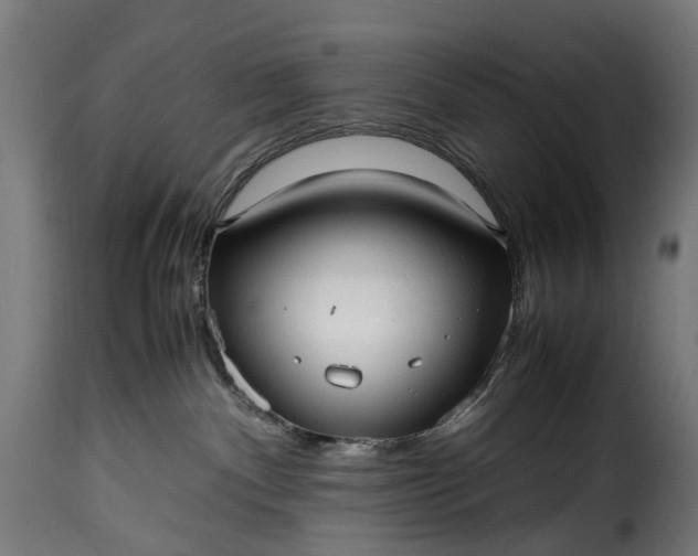 X0000115640140200911241720