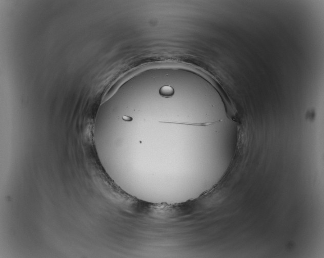 X0000115640141200911241720