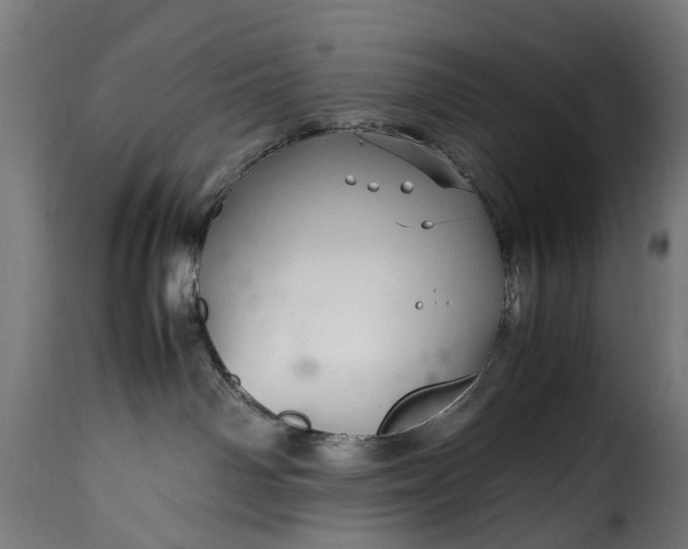 X0000115640142200911241720