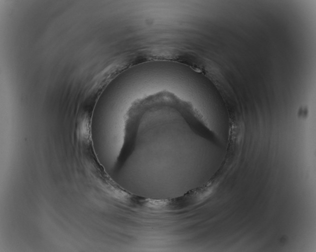 X0000115640143200911241720