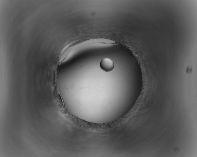 X0000115640144200911241720