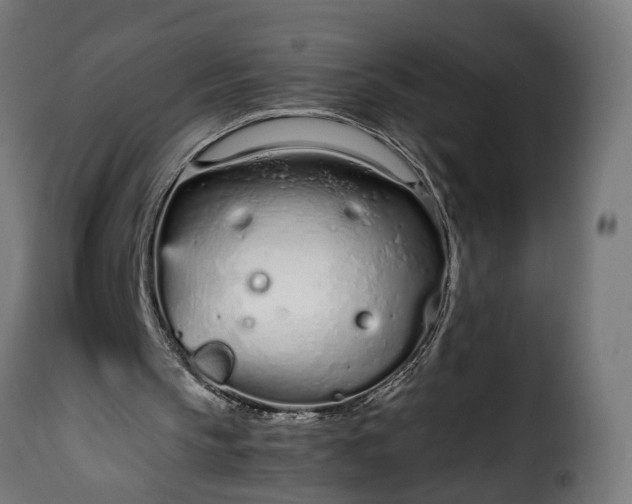 X0000115640145200911241719