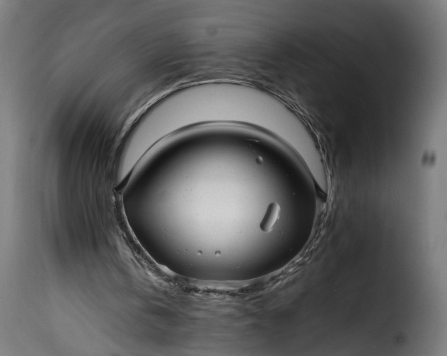 X0000115640146200911241719