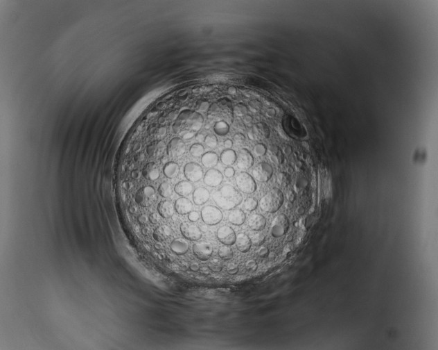 X0000115640147200911241719