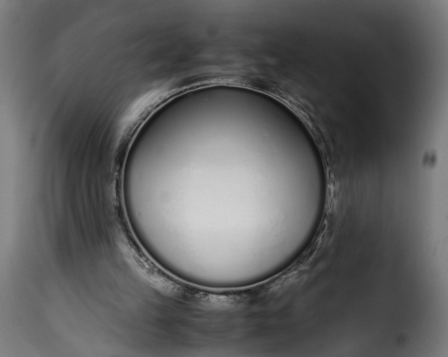 X0000115640149200911241719