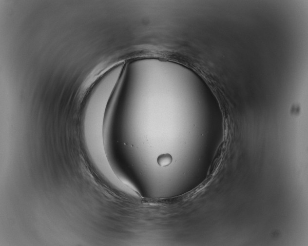 X0000115640150200911241719