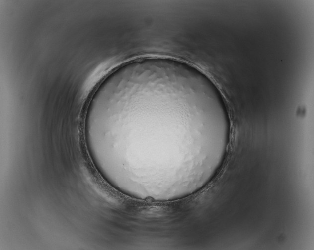 X0000115640151200911241719