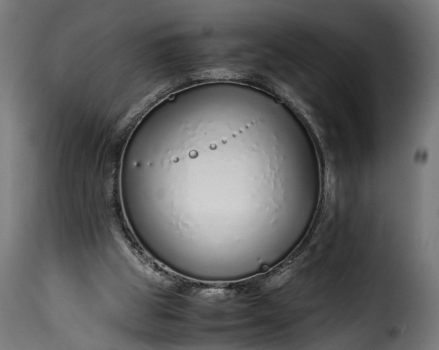 X0000115640153200911241719