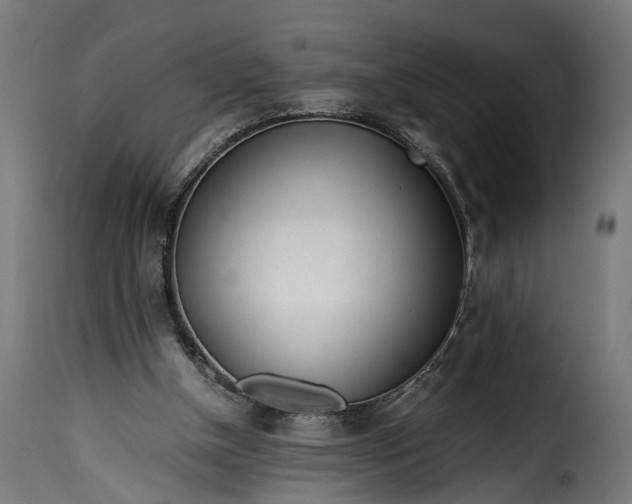 X0000115640154200911241719