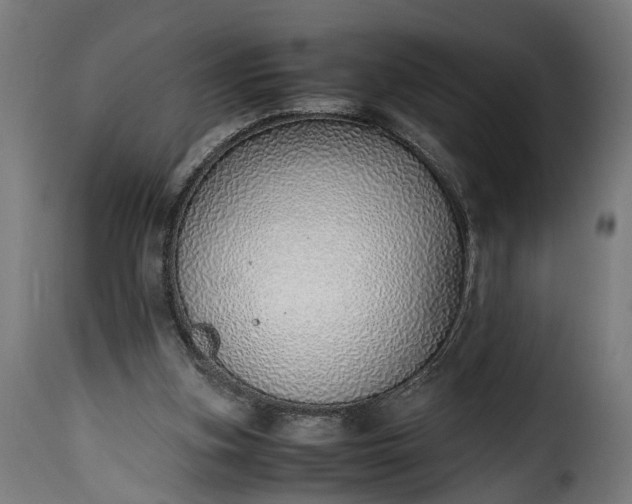 X0000115640155200911241719