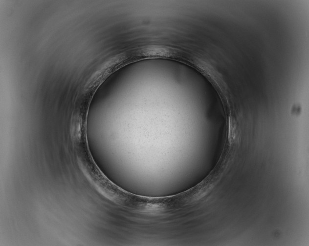 X0000115640157200911241719