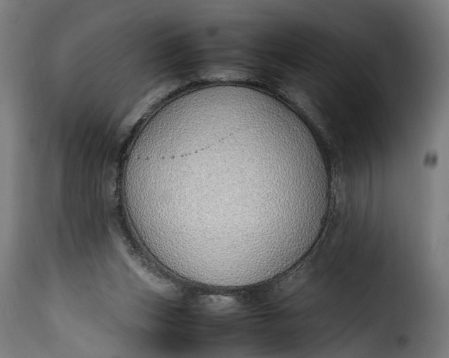 X0000115640159200911241719