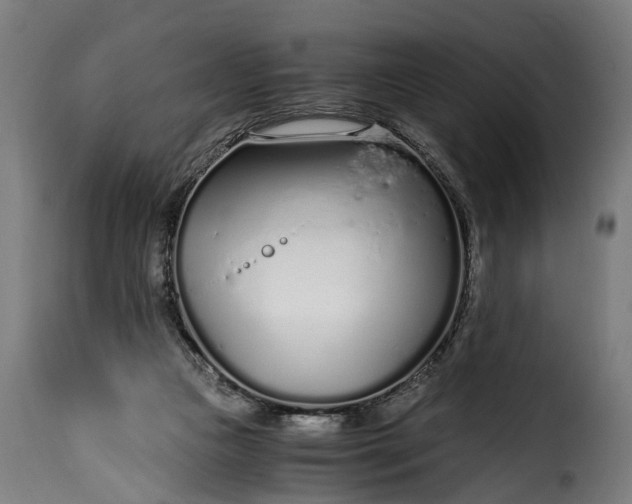 X0000115640161200911241719