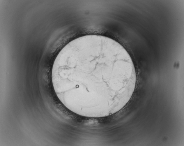 X0000115640162200911241719