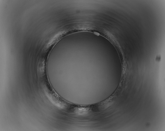 X0000115640163200911241719