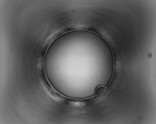 X0000115640165200911241719