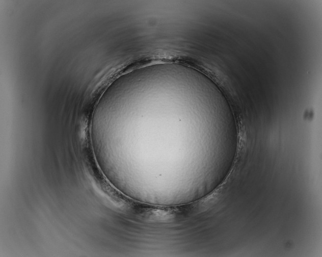 X0000115640166200911241719