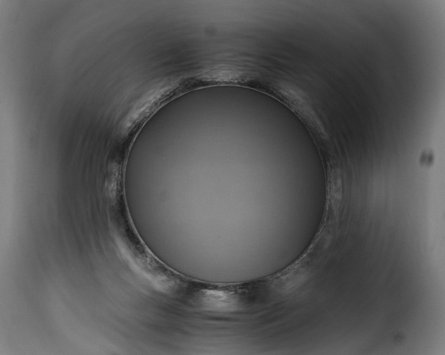 X0000115640167200911241719