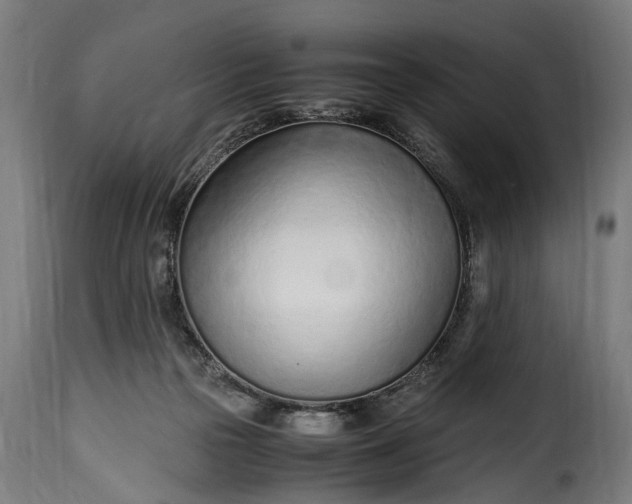 X0000115640169200911241719