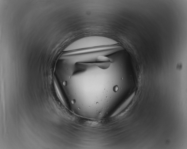 X0000115640170200911241719