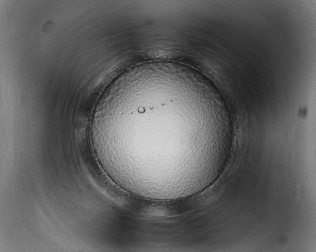 X0000115640171200911241719