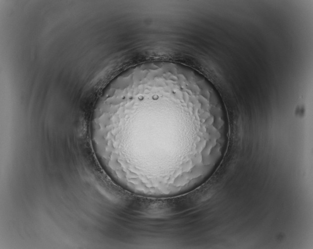 X0000115640173200911241719