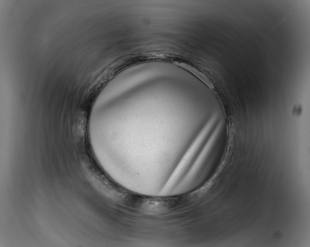 X0000115640174200911241719