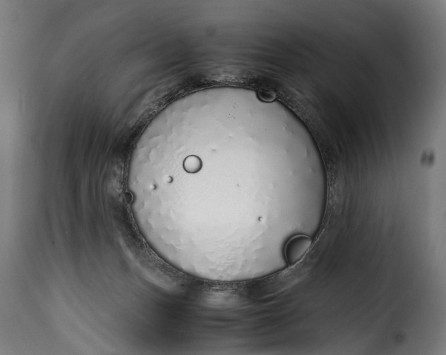 X0000115640175200911241719