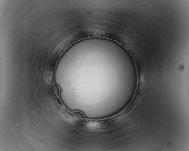 X0000115640177200911241719