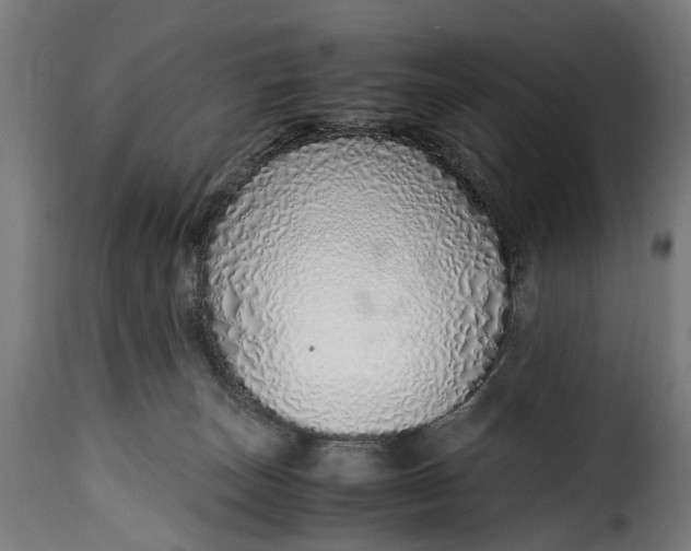 X0000115640179200911241719