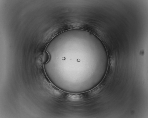 X0000115640181200911241719