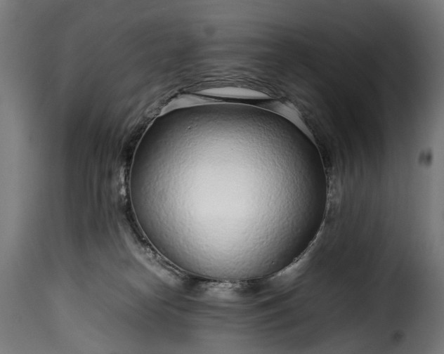 X0000115640182200911241719