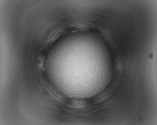 X0000115640185200911241719