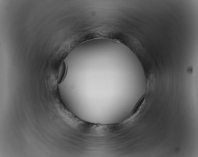 X0000115640186200911241719