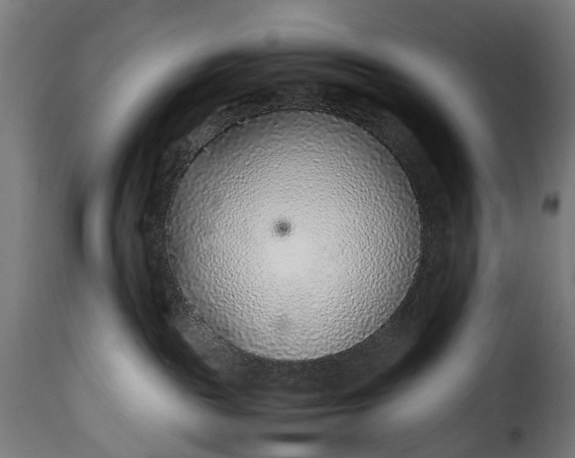 X0000115640189200911241720