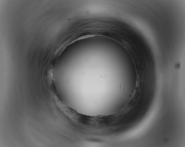 X0000115640190200911241720