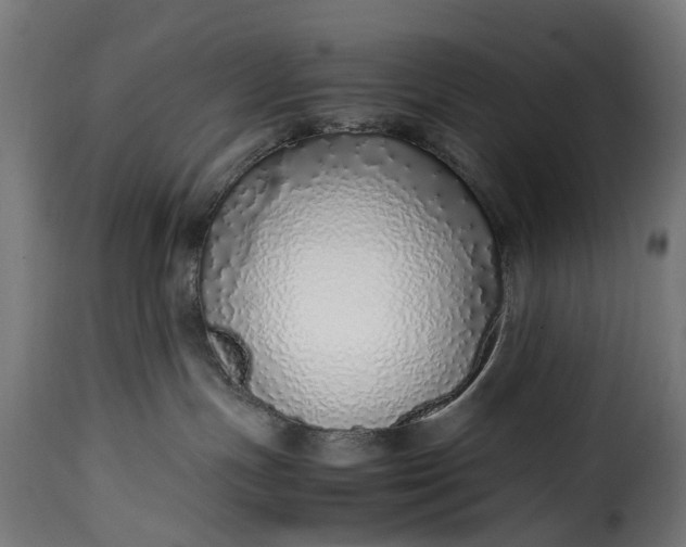 X0000115640191200911241720