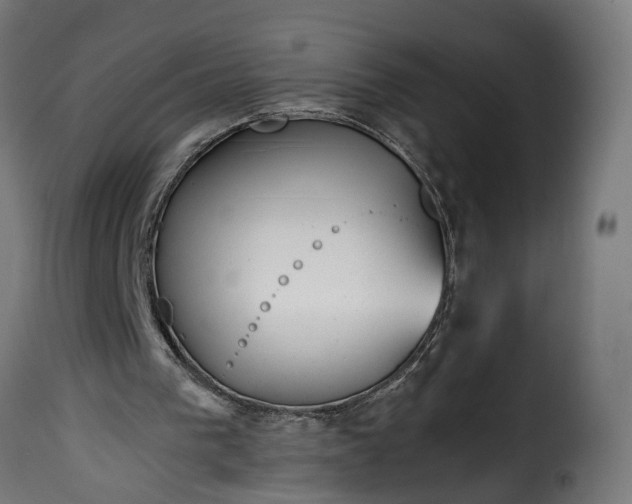 X0000115640193200911241719