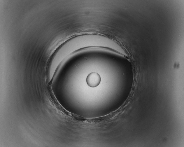 X0000115640194200911241719