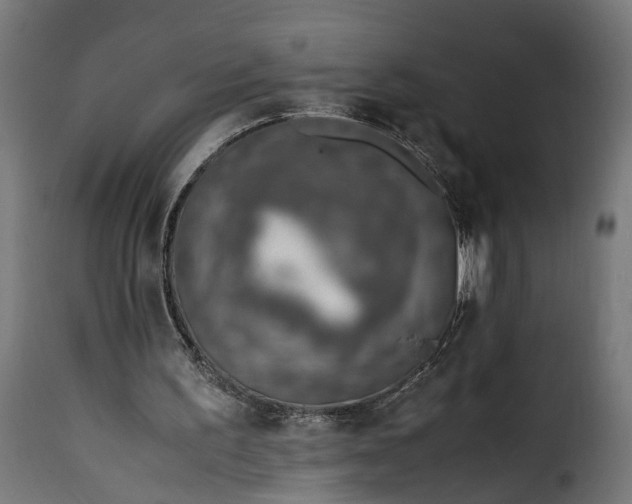 X0000115640195200911241719